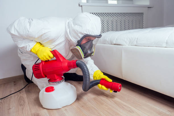 Wasp Removal Services in Williamsport, MD