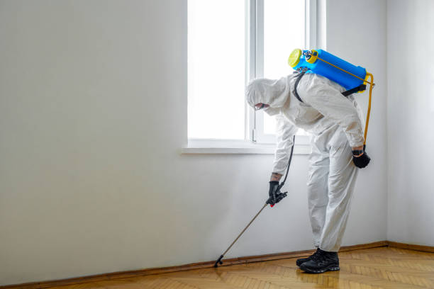 Best Pest Inspection Near Me  in Williamsport, MD