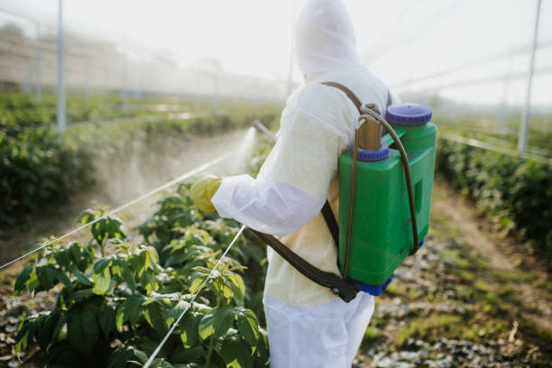 Best Affordable Pest Control Services  in Williamsport, MD